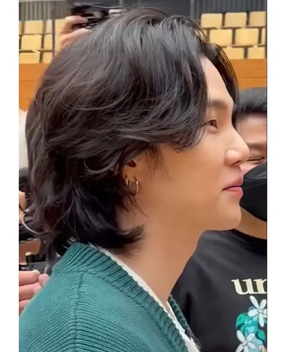 Trendy Korean Wolfcut Ideas for Men and Women