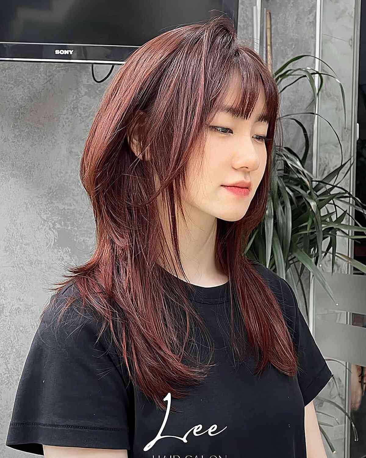 Trendy Korean Wolfcut Ideas for Men and Women