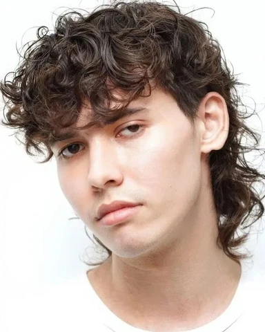 Curly Wolfcut Men: Ultimate Style Guide 2025